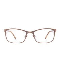 BERNIE - BRUSHED BROWN + CLEAR GLASSES