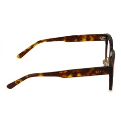 SUMMER - AMBER TORTOISE + CLEAR GLASSES -Sunglasses Sales DE01 0175 ABBBB SIDE ad8f3b5c 0936 474a 9d0f 70524baaa10f