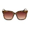 HAILEY - DUNMOR TORTOISE + BROWN GRADIENT SUNGLASSES 2 HAILEY - DUNMOR TORTOISE + BROWN GRADIENT SUNGLASSES -Sunglasses Sales HAILEY DE01 0255 TNBGN FRONT 0001