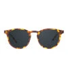 SAWYER - AMBER TORTOISE + POLARIZED PRESCRIPTION GLASSES 1 SAWYER - AMBER TORTOISE + POLARIZED PRESCRIPTION GLASSES -Sunglasses Sales SAWYER SUNRx ambertortoise front ed15a861 dfb5 41cb 8040 d6457a38ac92