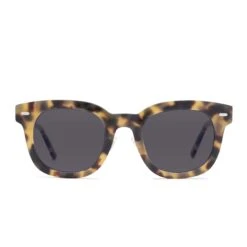 SUMMER - HAZEL TORTOISE + CLEAR GLASSES -Sunglasses Sales SUMMER HZ BB175 front Polarized