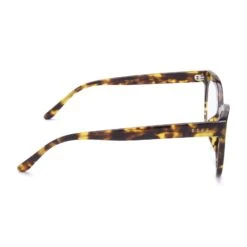 WINSTON - AMBER TORTOISE + CLEAR GLASSES 17 WINSTON - AMBER TORTOISE + CLEAR GLASSES -Sunglasses Sales WINSTON JJD AB BB128 side ce926569 f147 4f50 b95f 7af609989997