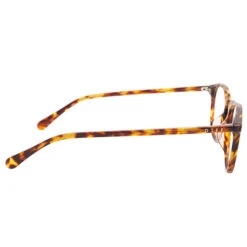 JAXSON - AMBER TORTOISE + POLARIZED PRESCRIPTION GLASSES -Sunglasses Sales jaxson tort 3 029fcc3b 3788 4395 b5cb d8bf447e553d